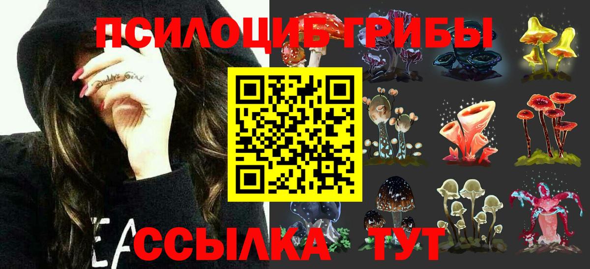 Галлюциногенные грибы Cubensis Сертолово